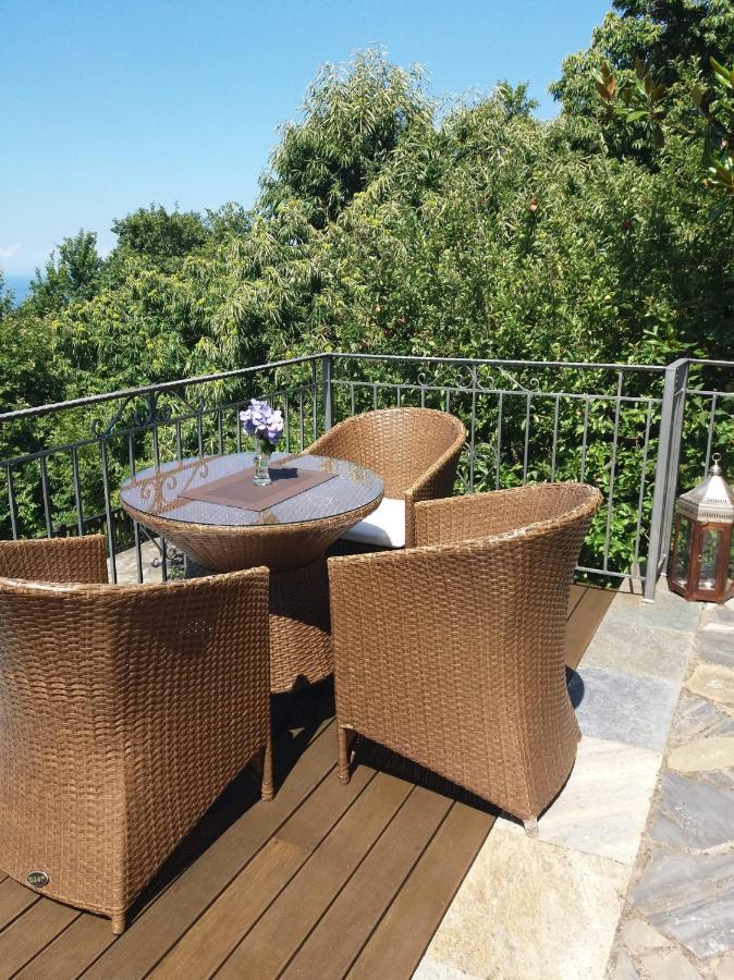 Aroma Piliou - Άρωμα Πηλίου Hotel Mourésion Buitenkant foto